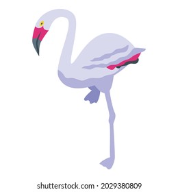 Paradise flamingo icon isometric vector. Fauna bird. Cute flamingo