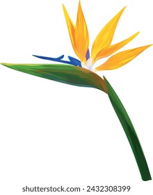 Paraíso flor vector dibujo a mano. Flor tropical, planta exótica. Planta brillante