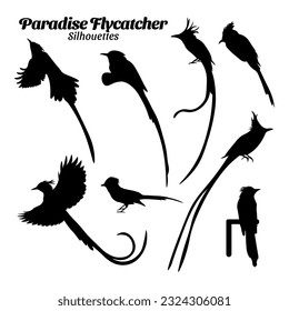 Paradise flycatcher bird silhouette vector illustration set