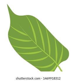 Paradise leaf icon. Cartoon of paradise leaf vector icon for web design isolated on white background