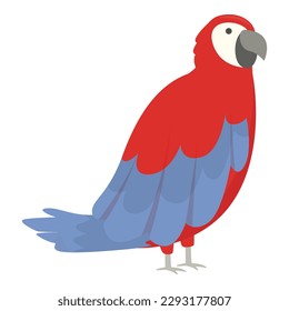Paradise macaw icon cartoon vector. Parrot bird. Tropical red