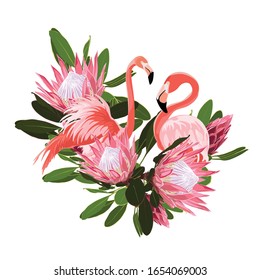 Paradise pink flamingo birds with exotic protea flowers. Card template composition. Detailed vector design illustration. Valentine. Wedding. Poster. T shirt print.