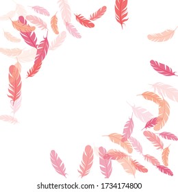 Paradise pink flamingo feathers vector background. Smooth plumelet tribal ornate graphics. Bird wing plumage boho line art. Fluffy twirled feathers on white design.