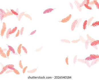 Paradise pink flamingo feathers vector background. Decoration confetti of carnival plumelet. Plumage glamour fashion shower decor. Flying feather elements airy vector design.