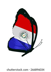 Paraguay flag butterfly - vector