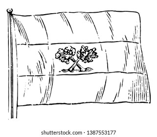 Bandera paraguaya, esta bandera está dividida en tres bandas horizontales, tiene dos árboles cruzados en banda media, dibujo vintage o ilustración grabadora 