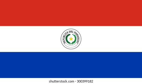 Paraguay flag - vector icon