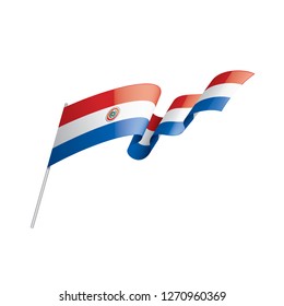 Paraguay flag, vector illustration on a white background