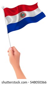 Paraguay national flag hand icon
