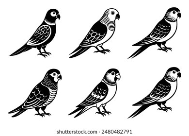 Parakee Ganzkörper-Vektorillustration   