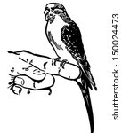 Parakeet 2 - Retro Clip Art Illustration