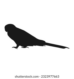 parakeet bird icon vektor illustration design svg
