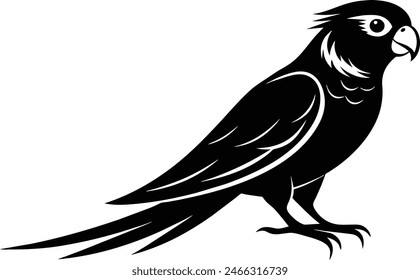 A parakeet bird silhouette black vector artwork illustration