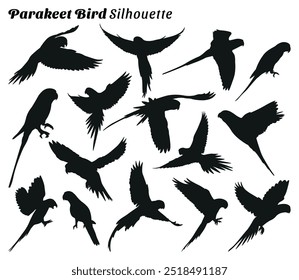 Parakeet bird silhouette vector illustration set