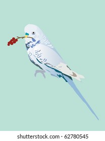 parakeet blue
