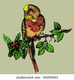 Parakeet with bow and mistletoe sitting on brunch illustration for pet commercial