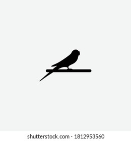 elemento gráfico parakeet Diseño de plantilla de ilustración
