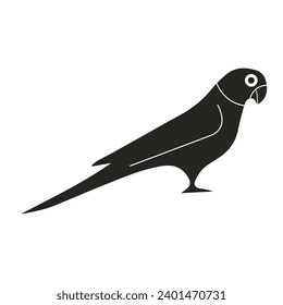 Parakeet vector on a white background