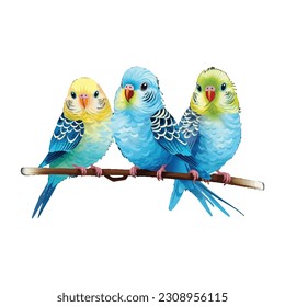 Parakeets, Budgerigars, Amazon Parrot, Green blue Pet Parakeets sitting on branch, Watercolor vector illustration, watercolor vintage, vector art, isolated white background