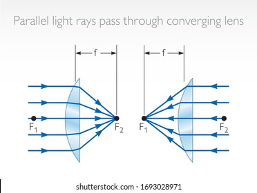 Parallel Light Rays Pass Through Diverging Stock Vector (Royalty Free ...