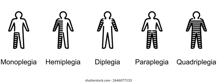 Paralysis Types banner web icon vector illustration of Monoplegia, Hemiplegia, Diplegia, Paraplegia, Quadriplegia