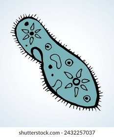 Paramecium caudatum Icono de dibujo vectorial