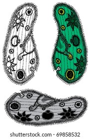 Paramecium. Each image on it's own layer.