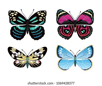 Parantica melaneus collection of butterflies types, morpho peleides and campylotes histrionicus butterfly, vector illustration, isolated on white