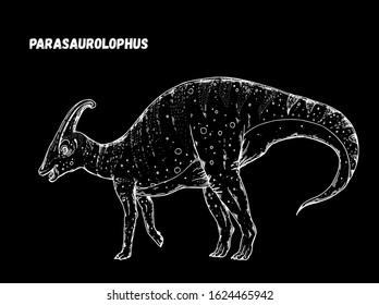 Parasaurolophus dinosaur hand drawn sketch. Vector illustration. Herbivorous dinosaur.