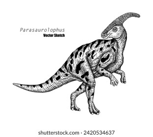 Parasaurolophus. Dinosaur sketch drawing. Black and white. Hand drawn vector art. line art