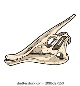 Parasaurolophus line hand drawn sketch image. Duck billed Hadrosaurids dinosaur image drawing