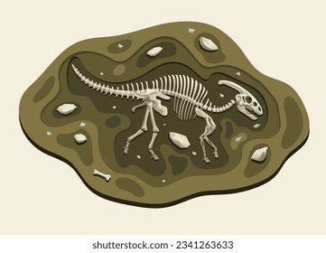 Descubrimiento del fósil de la arqueología de los dinosaurios parasauros en el suelo