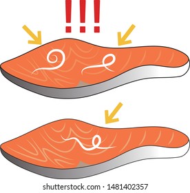 Parasite Anisakis And Salmon Fillet Vector Illustration