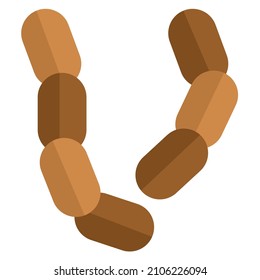 Parasite with gut infections causing virus layout