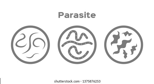 parasite in human icon