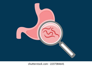 parasite in human stomach diseases, bacteria, virus and worms