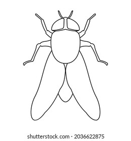 Parasites fly vector icon.Outline vector icon isolated on white background parasites.