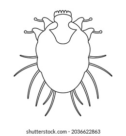 Parasites mite vector icon.Outline vector icon isolated on white background mite parasites.