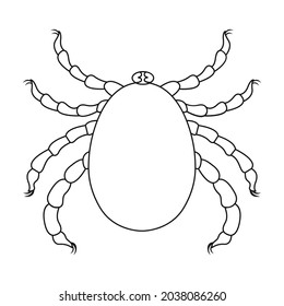 Parasites mite vector icon.Outline vector icon isolated on white background mite parasites.