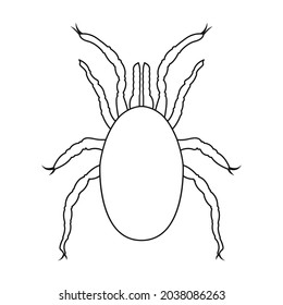 Parasites mite vector icon.Outline vector icon isolated on white background mite parasites.