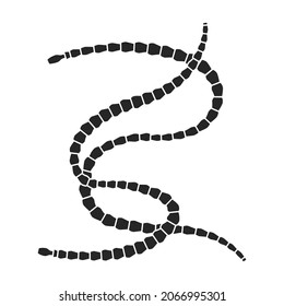 Parasiten Vektorsymbol.Schwarze Vektorsymbol einzeln auf weißem Hintergrund.