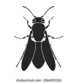 Parasiten Vektorsymbol.Schwarze Vektorsymbol einzeln auf weißem Hintergrund.