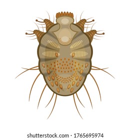 Icono de vector parásitos.Icono de vector de dibujos animados aislado en parásitos de fondo blanco.