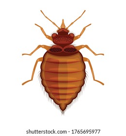 Parasites vector icon.Cartoon vector icon isolated on white background parasites.