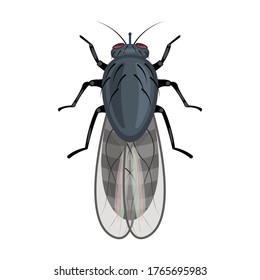 Parasites vector icon.Cartoon vector icon isolated on white background parasites.