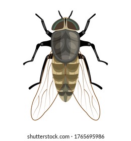Parasites vector icon.Cartoon vector icon isolated on white background parasites.