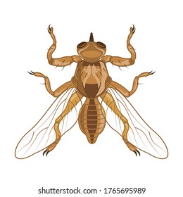 Icono de vector parásitos.Icono de vector de dibujos animados aislado en parásitos de fondo blanco.