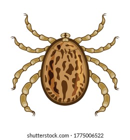 Icono de vector parásitos.Icono de vector de dibujos animados aislado en parásitos de fondo blanco.