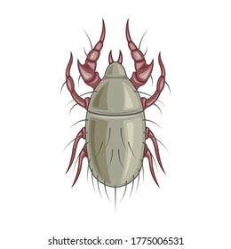 Icono de vector parásitos.Icono de vector de dibujos animados aislado en parásitos de fondo blanco.