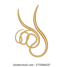 Parasiten Vektorsymbol.Cartoon Vektorsymbol einzeln auf weißem Hintergrund.